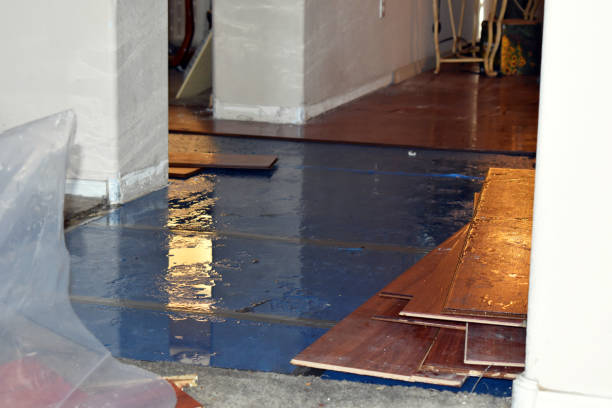 Professional Sewage Cleanup technician working in Mentone, IN